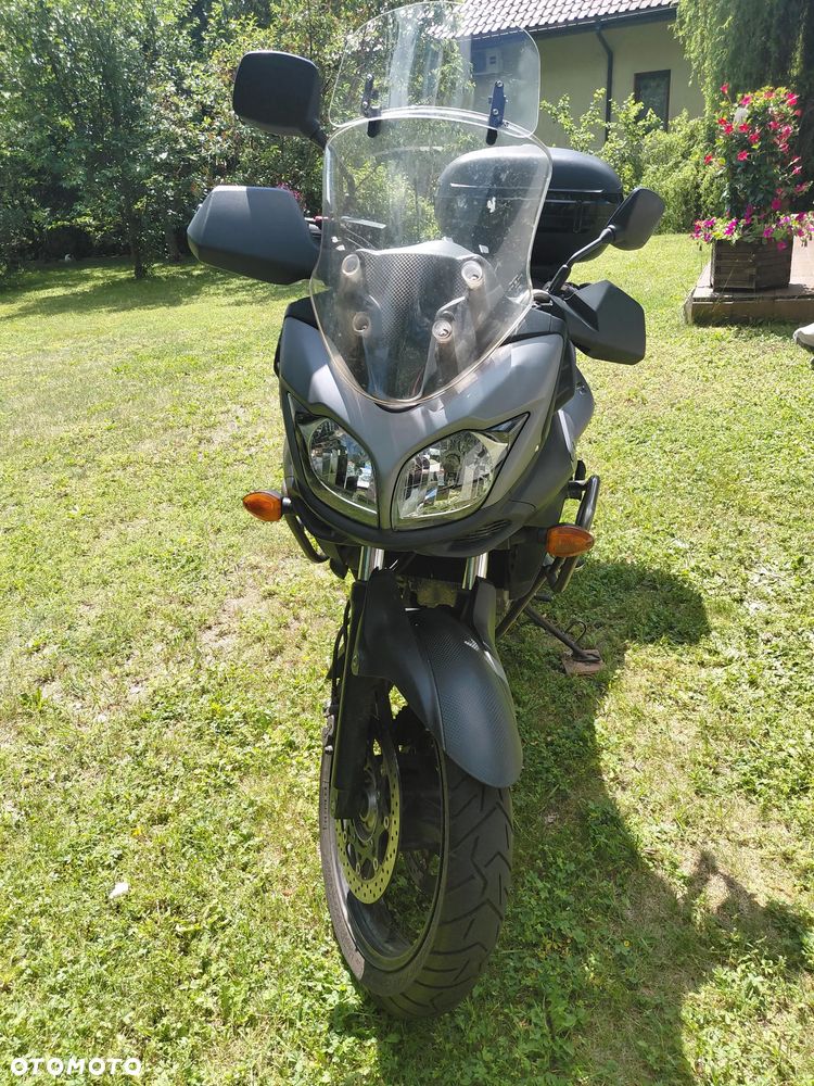 Suzuki DL - 5