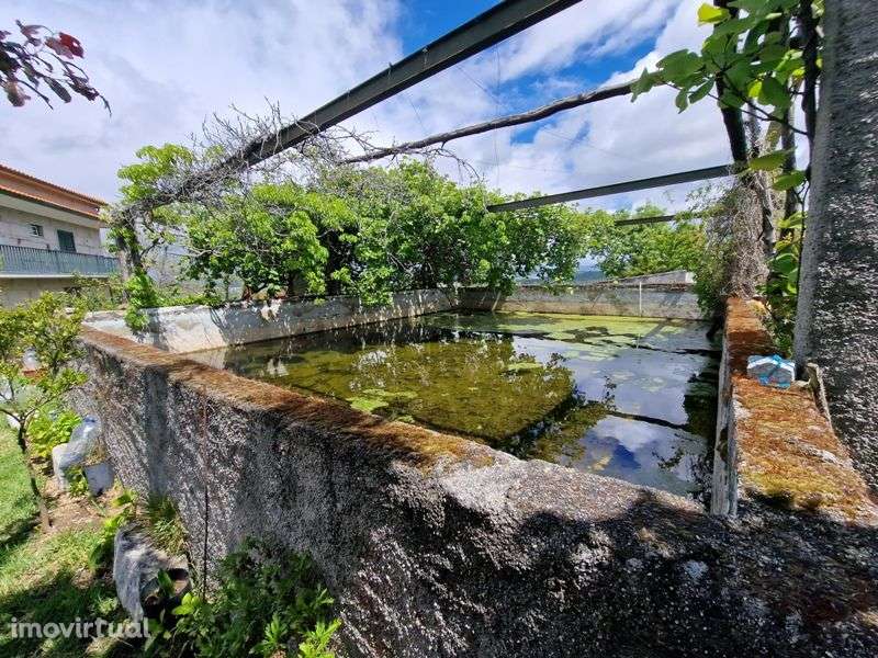 Quinta V2 - Grande imagem: 3/42