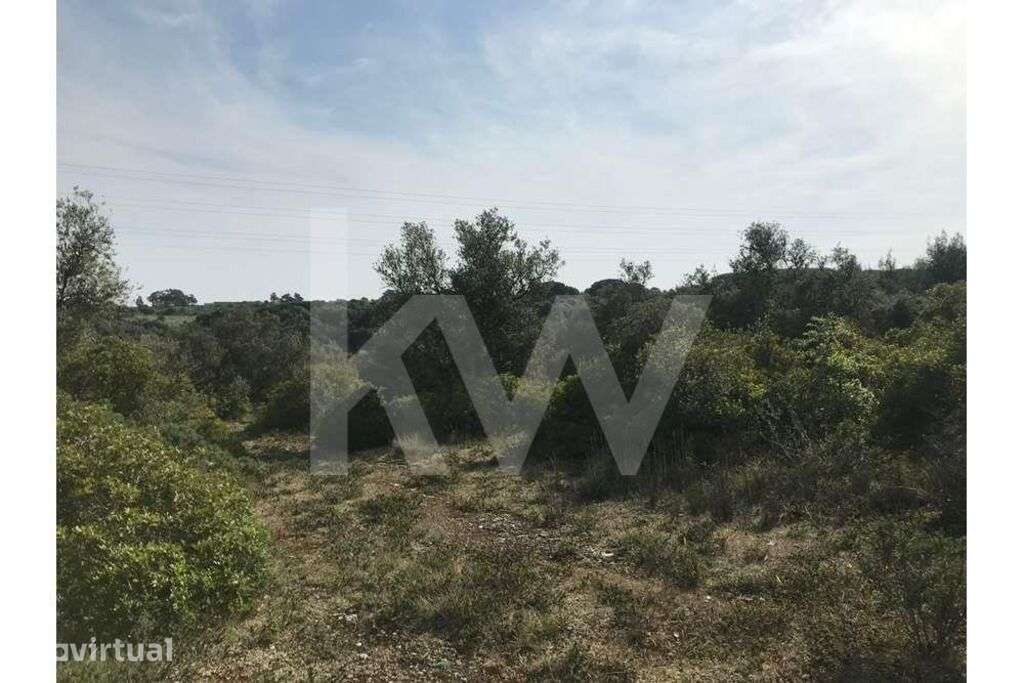 5 Terrenos Total 43.000 m2 em Alcolombal - Terrugem Sintra - Grande imagem: 2/6