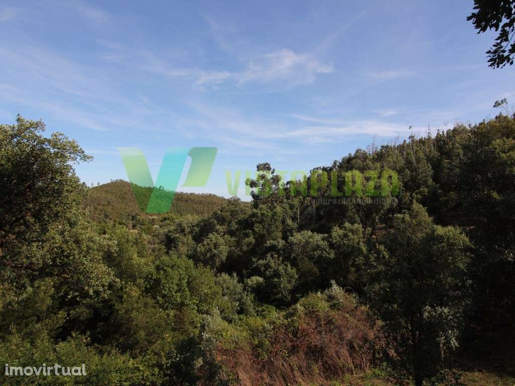 Terreno Misto, com Ruína, Monchique, Algarve - Grande imagem: 4/10