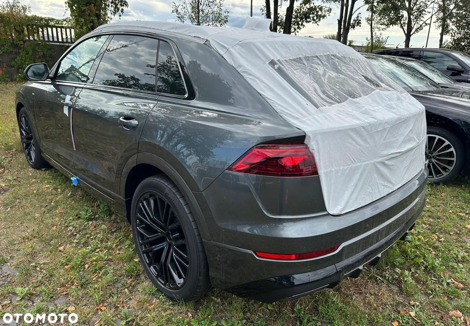 Audi Q8 - 2