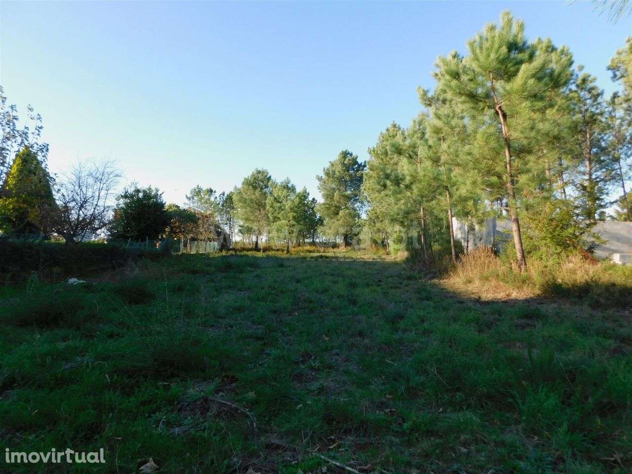 Terreno / Seia, São Romão - Grande imagem: 3/4