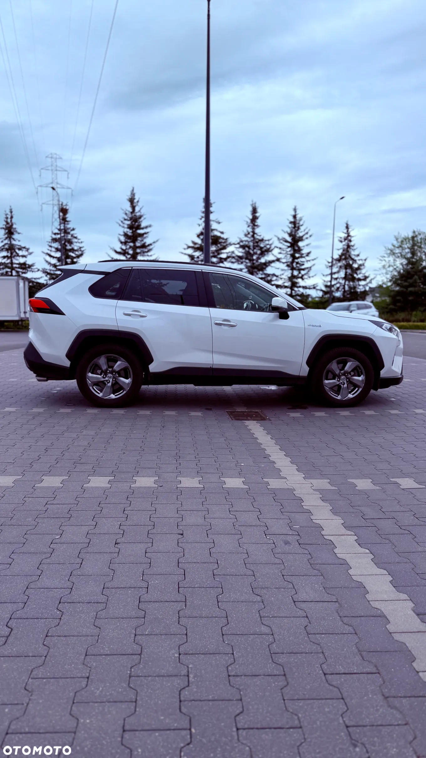 Toyota RAV4 2.5 Hybrid Executive 4x2 - 9