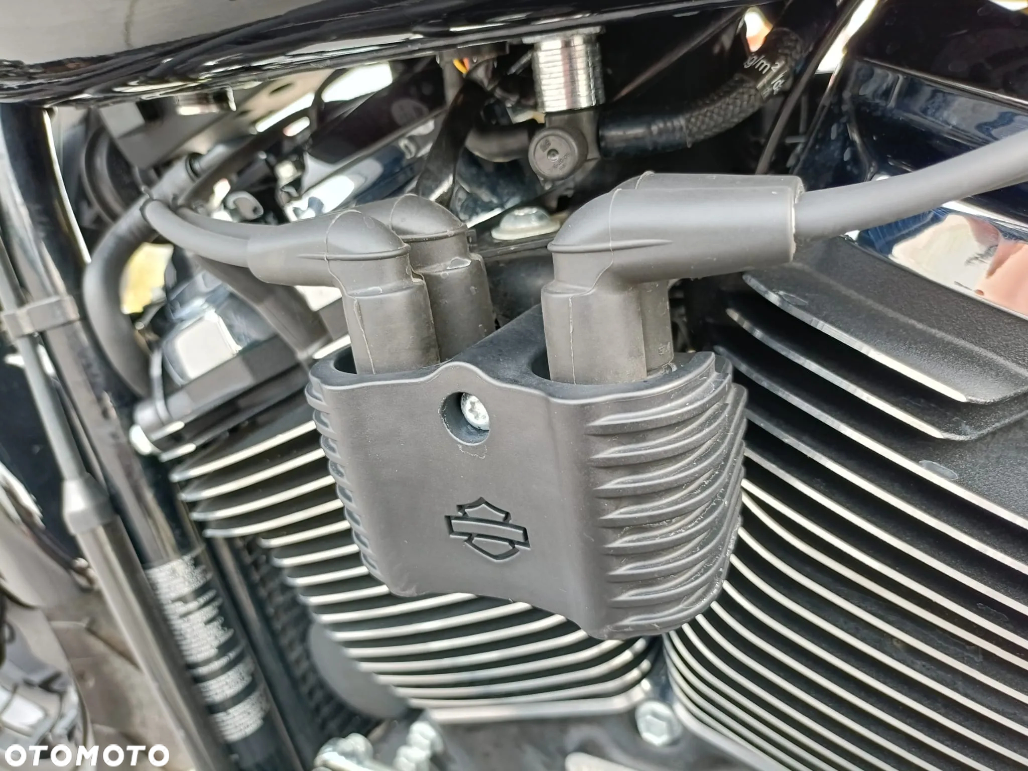 Harley-Davidson Softail Fat Boy - 5