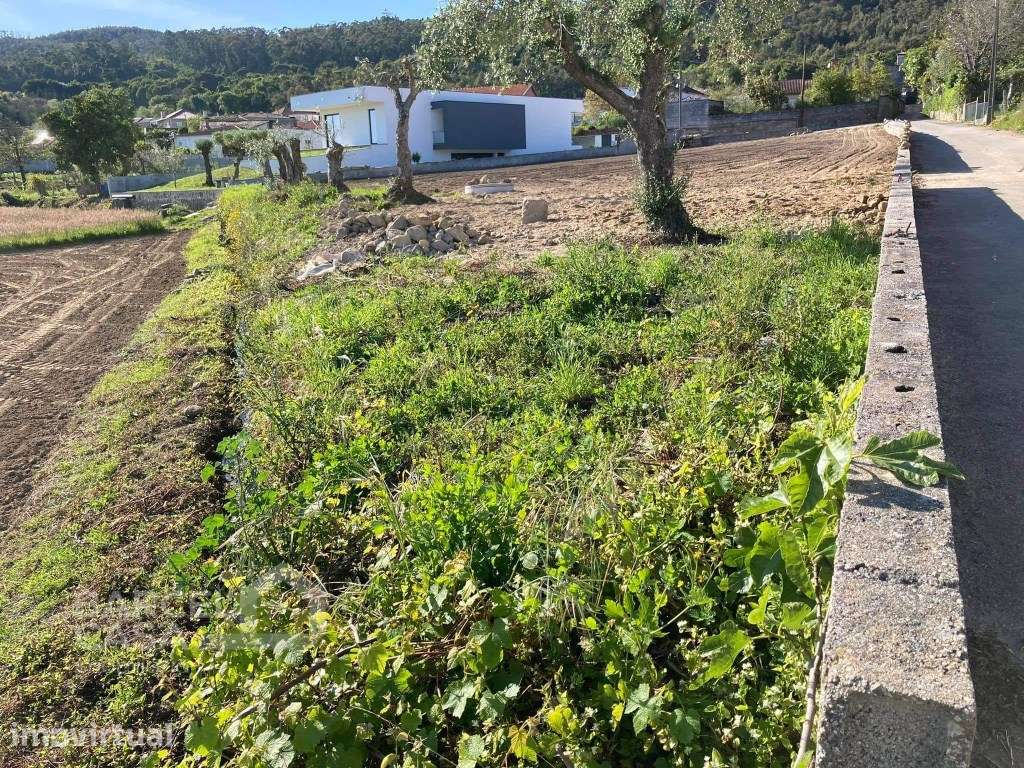 Terreno de construção em Couto - Barcelos - Grande imagem: 3/8