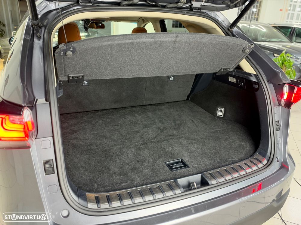 Lexus NX 300h Executive Plus - 23