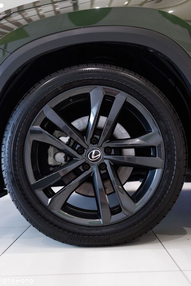 Lexus NX - 15