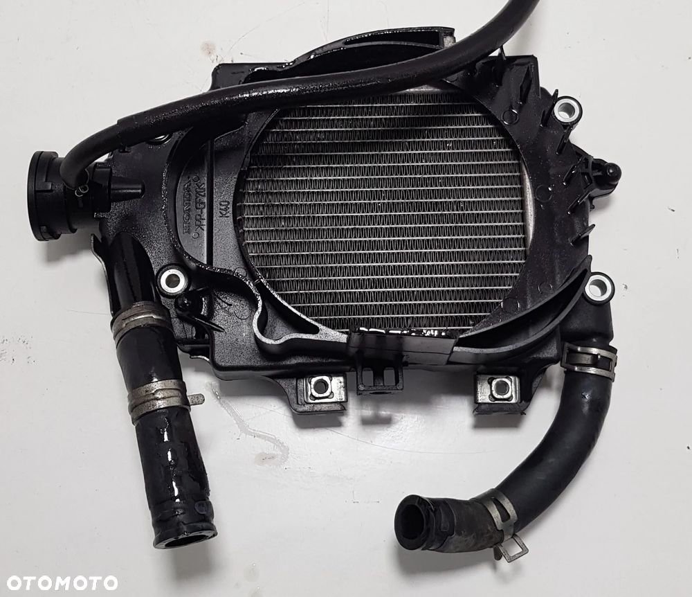 Honda Forza 125 14-17 - Chłodnica - 3