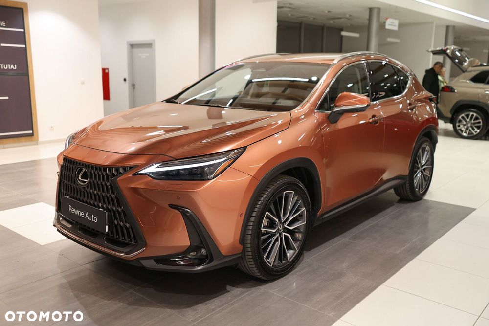 Lexus NX - 14