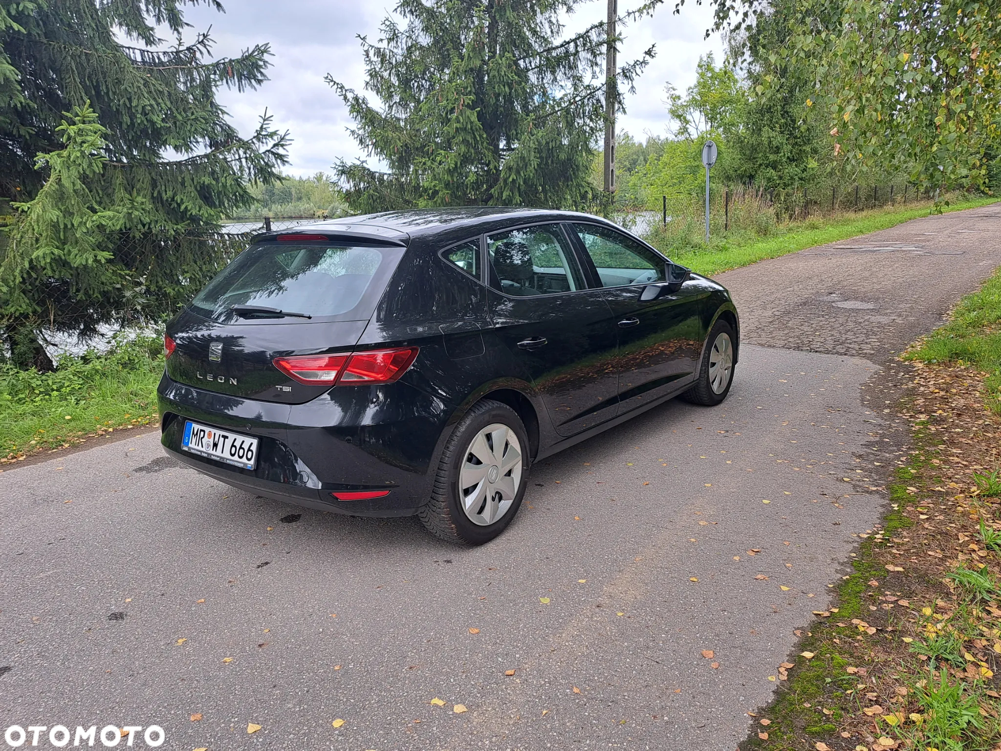 Seat Leon - 13