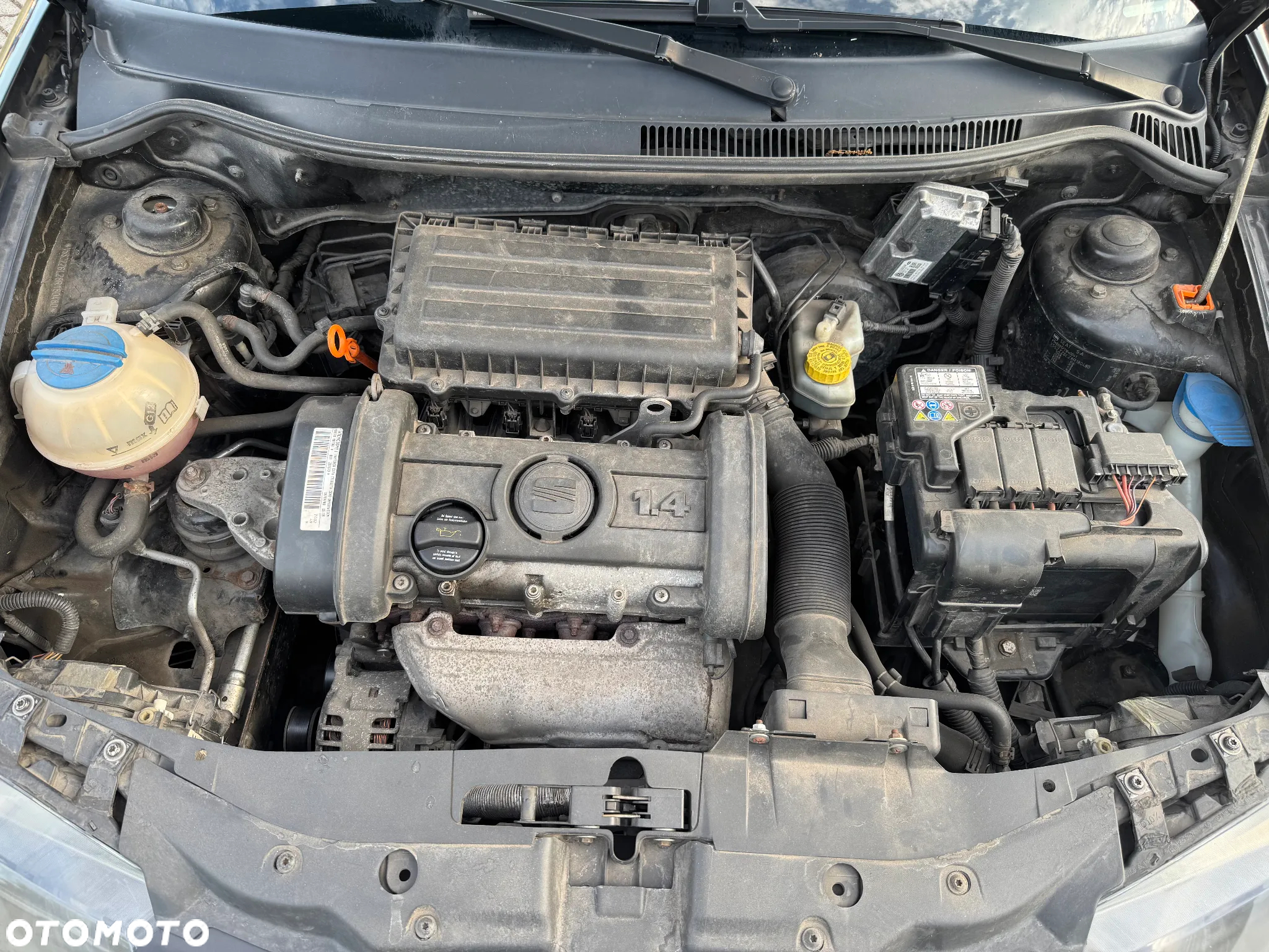Seat Ibiza 1.4 16V Entry - 10