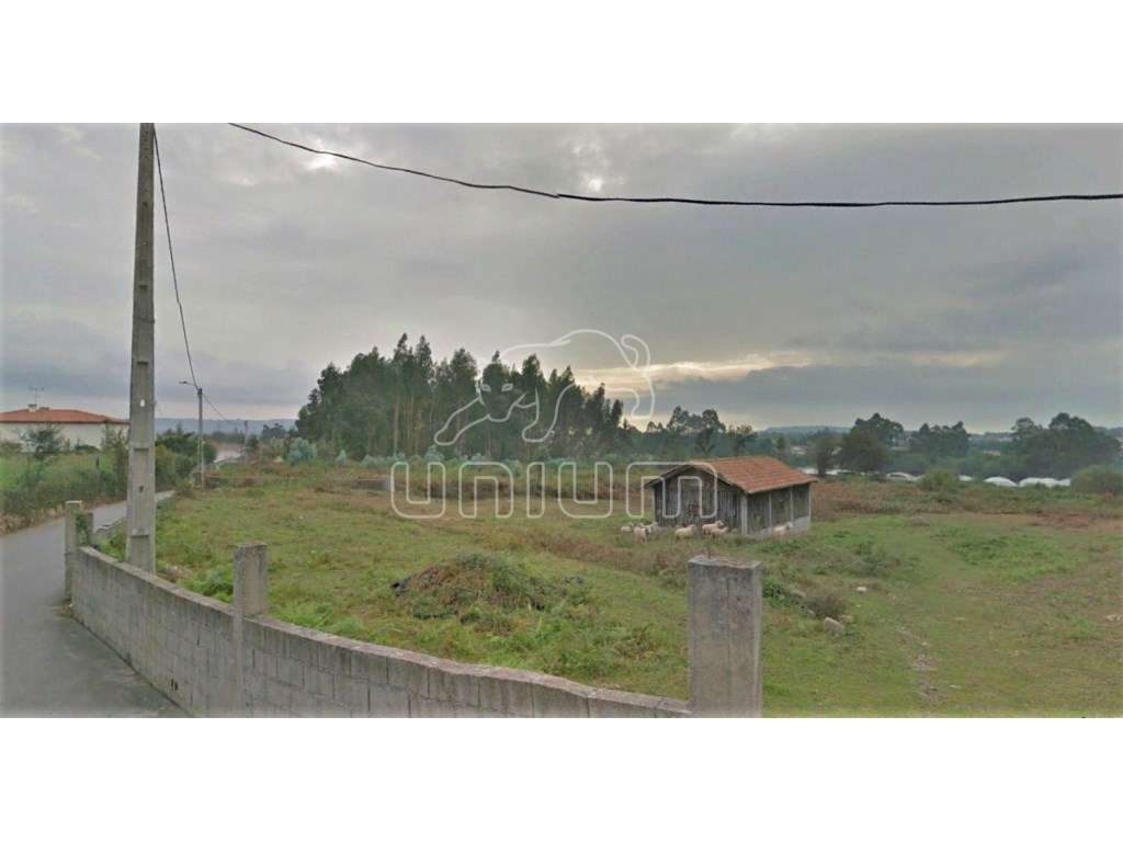 Terreno para construção - Grande imagem: 3/4