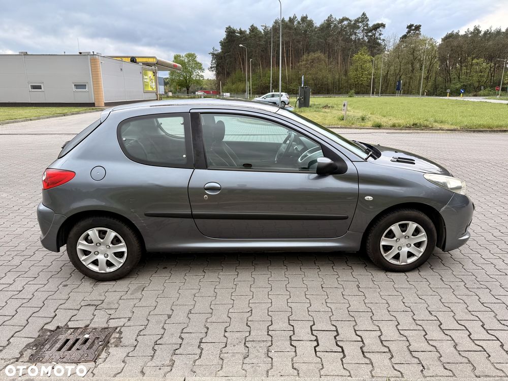 Peugeot 206 plus 60 - 8