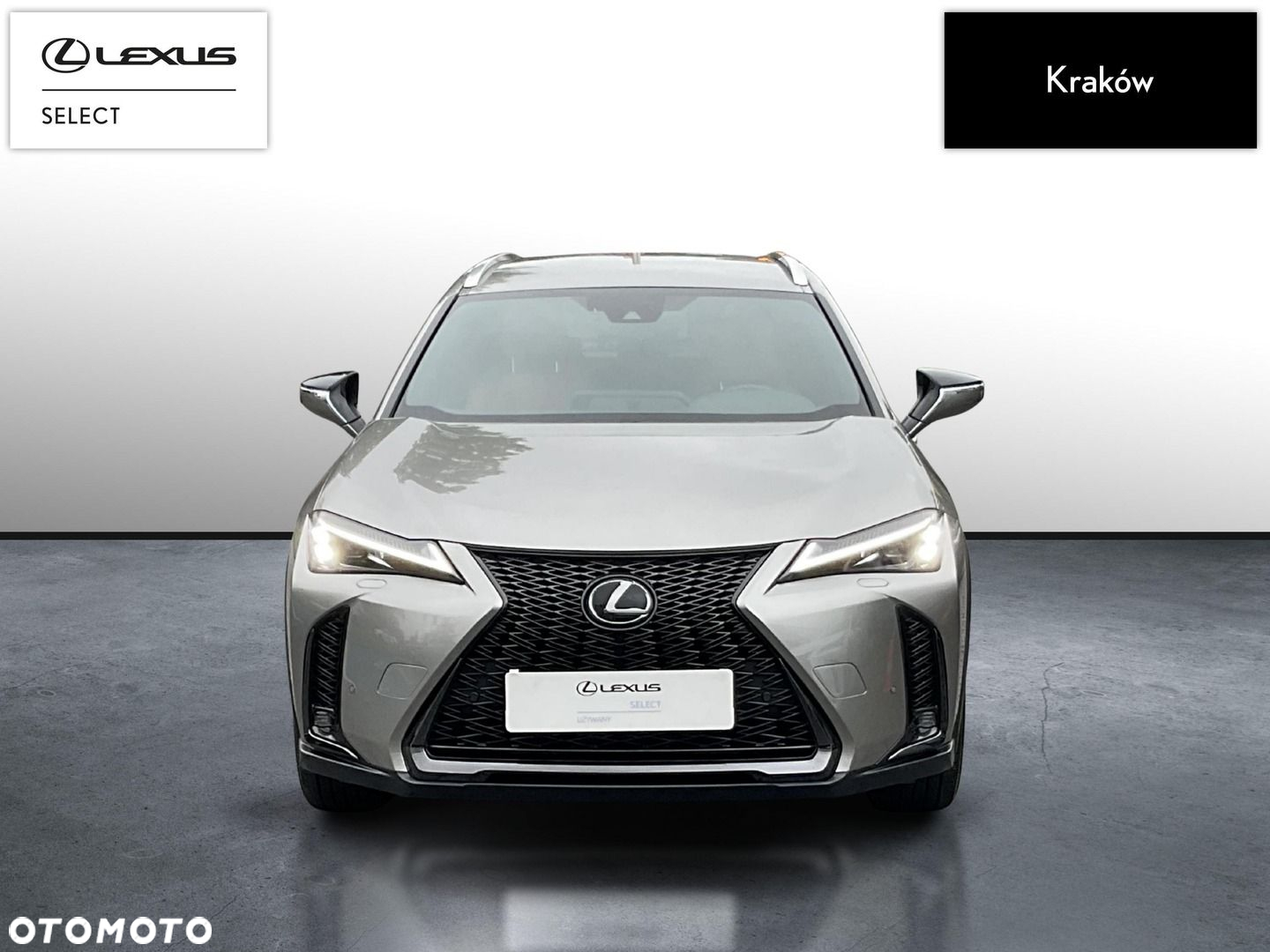Lexus UX 250h GPF F Sport Design 2WD - 8