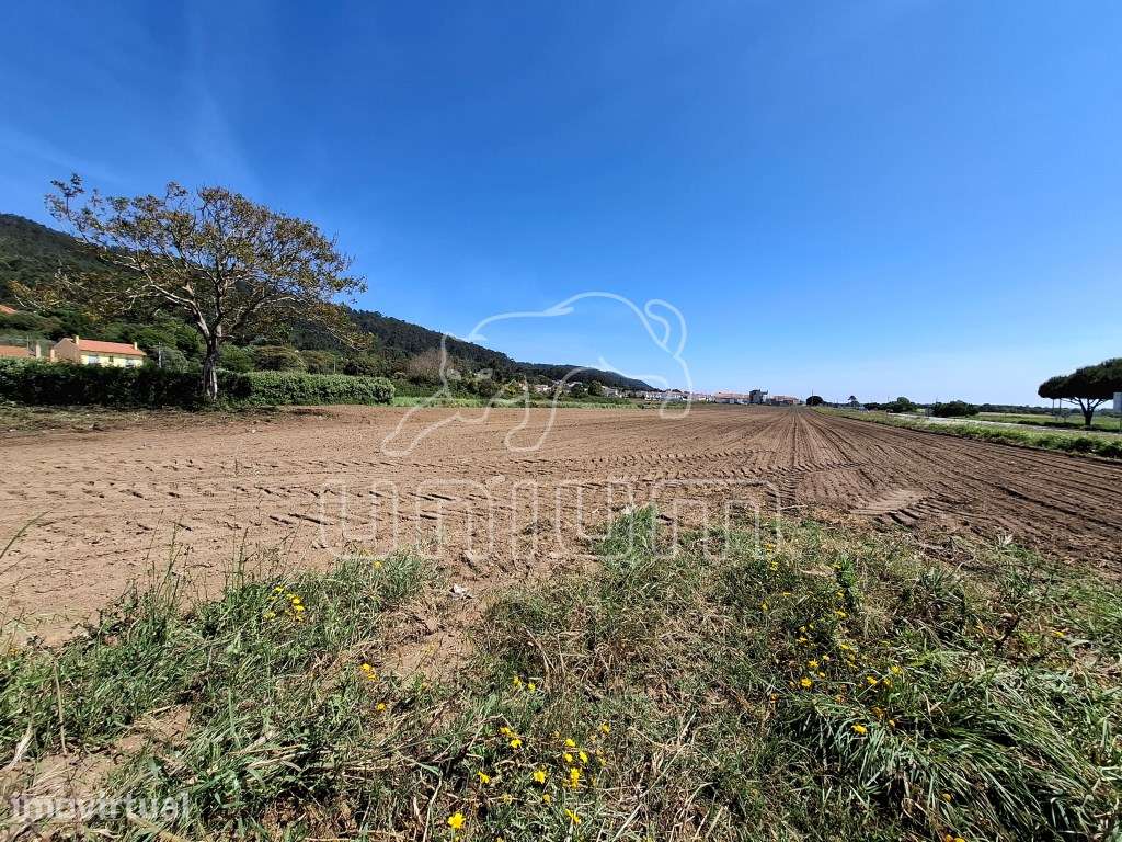 Terreno para construção em Carreço - Grande imagem: 3/3
