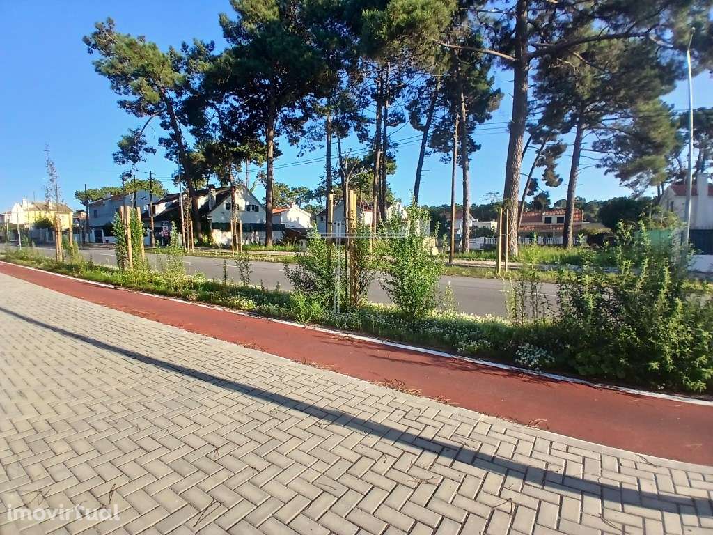 Terreno de 5200m2 - Aroeira, Charneca da Caparica - Grande imagem: 4/13