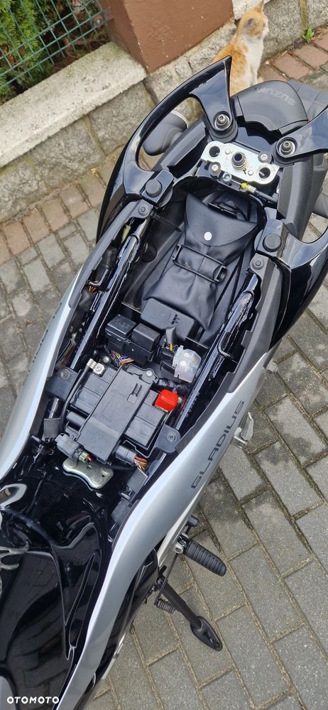 Suzuki Gladius - 11