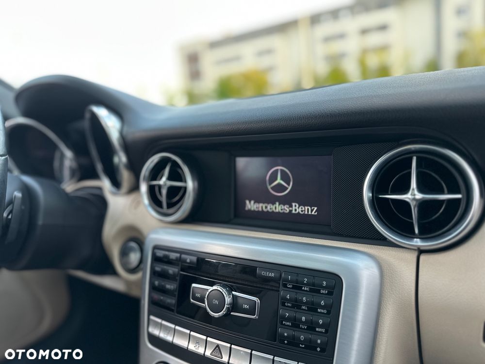 Mercedes-Benz SLK 250 (BlueEFFICIENCY) 7G-TRONIC - 18