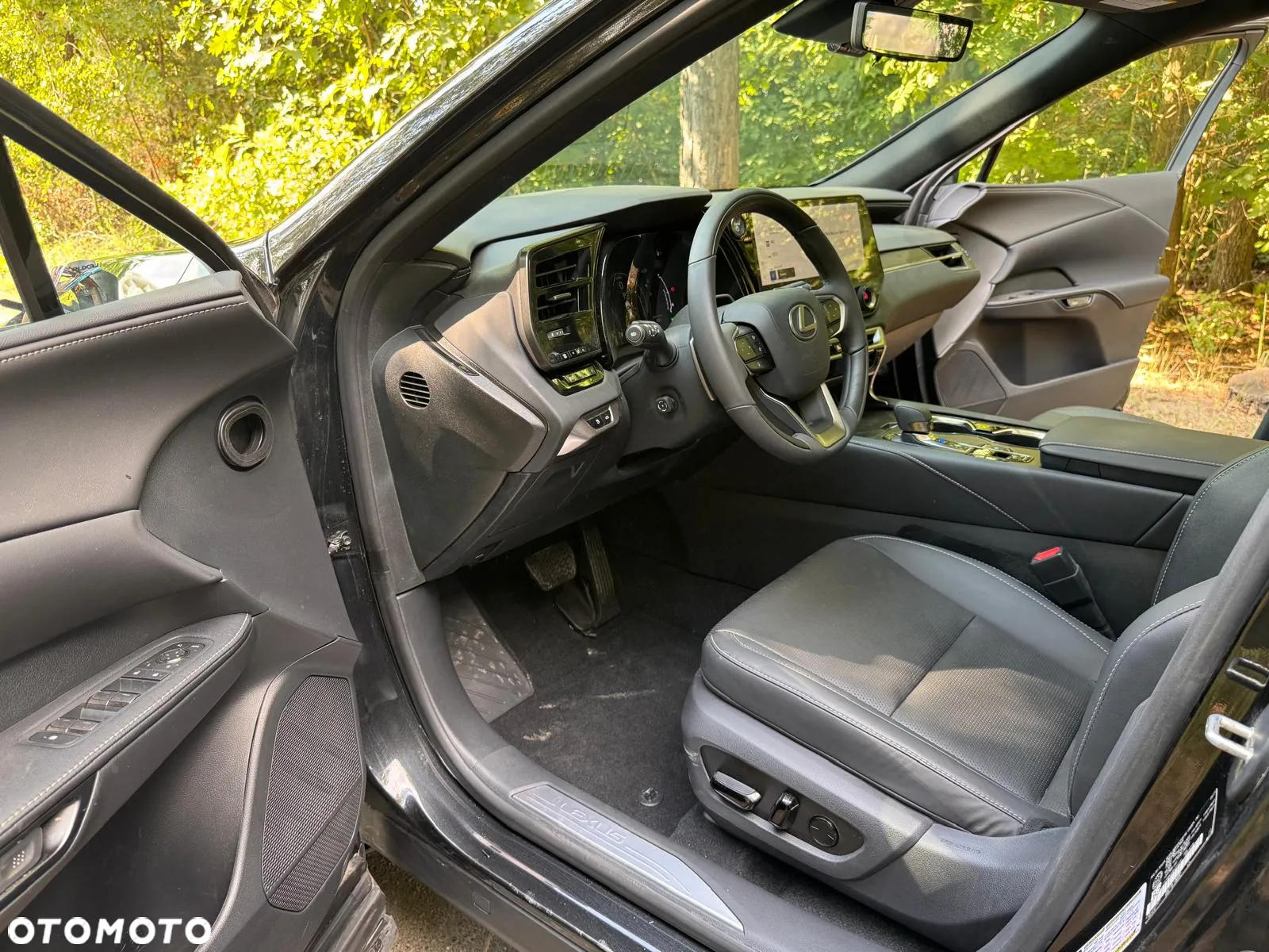 Lexus RX 350h (hybrid) Business - 18