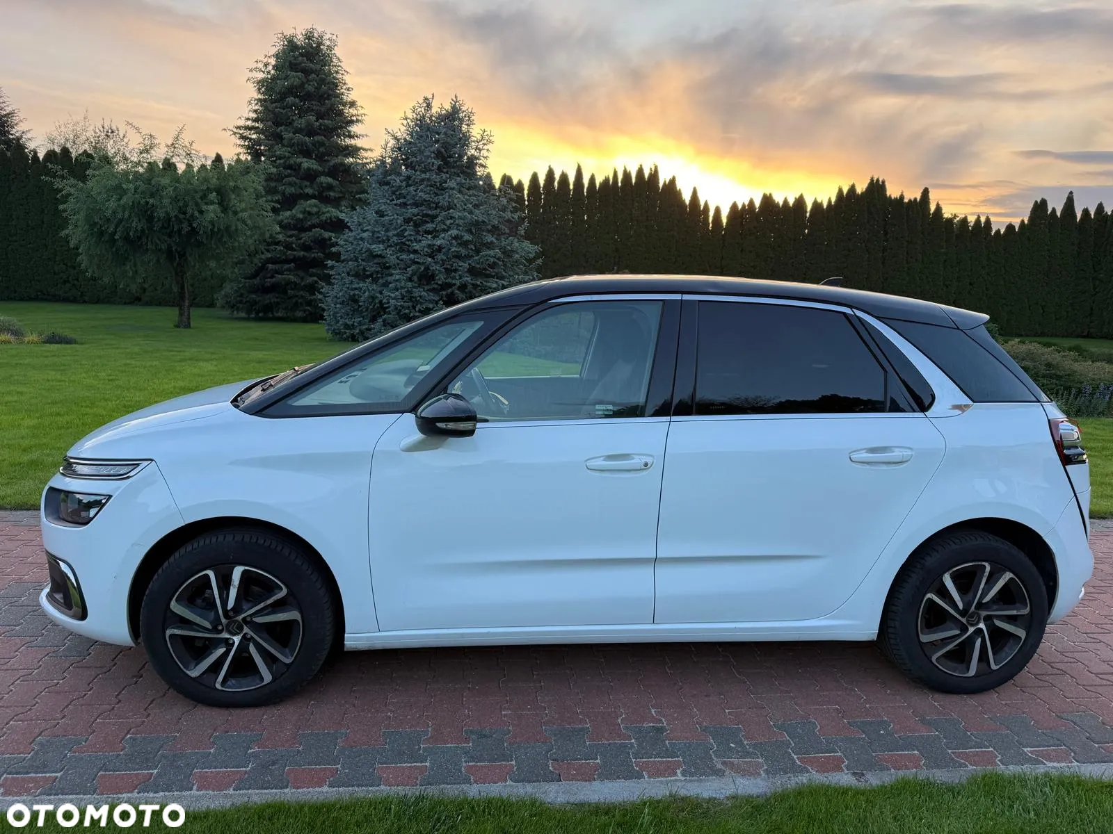 Citroën C4 SpaceTourer 1.5 BlueHDi Origins S&S EAT8 - 2
