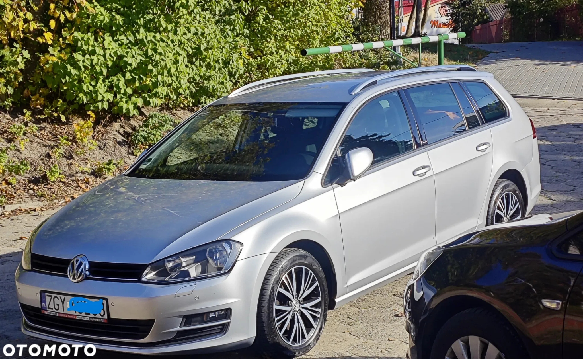 Volkswagen Golf 1.6 TDI BlueMotion Technology Allstar - 6