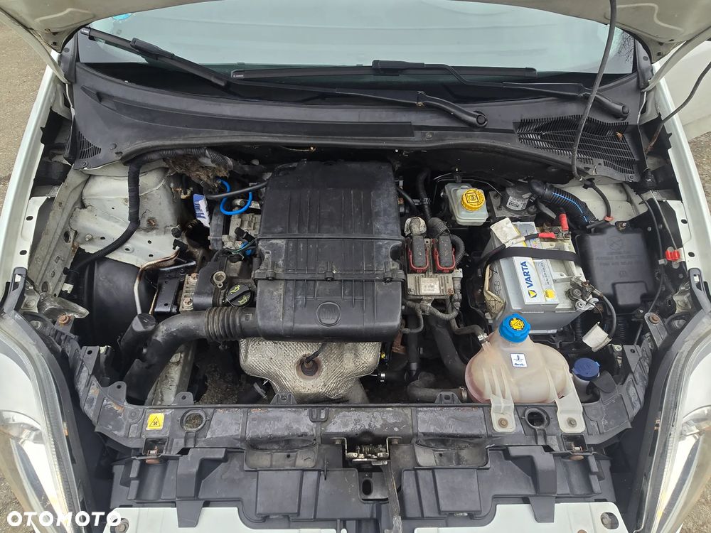 Fiat Punto Evo ver-1-4-16v-dynamic - 35