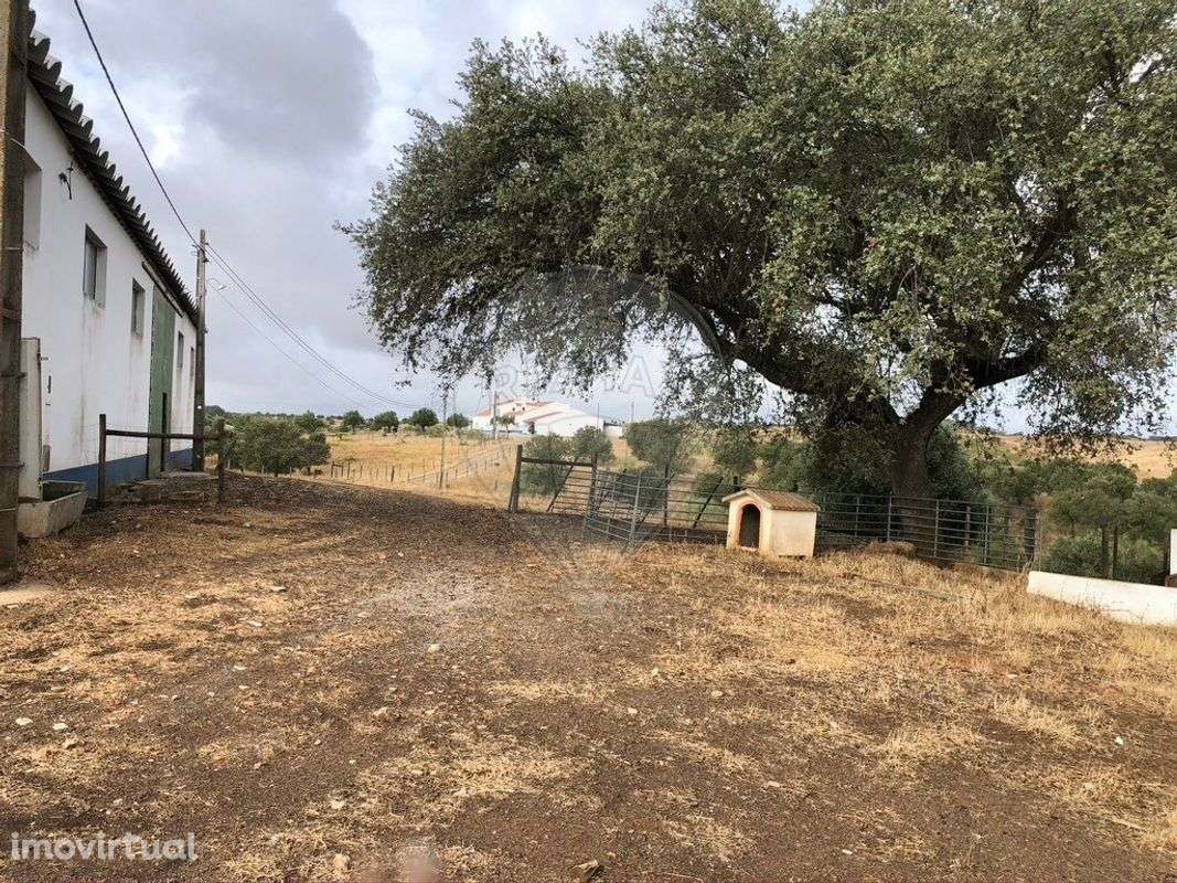 Quinta T6 para venda - Grande imagem: 2/20