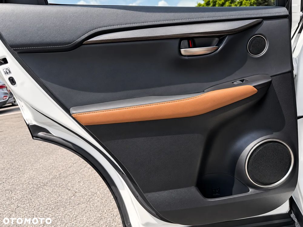 Lexus NX - 20
