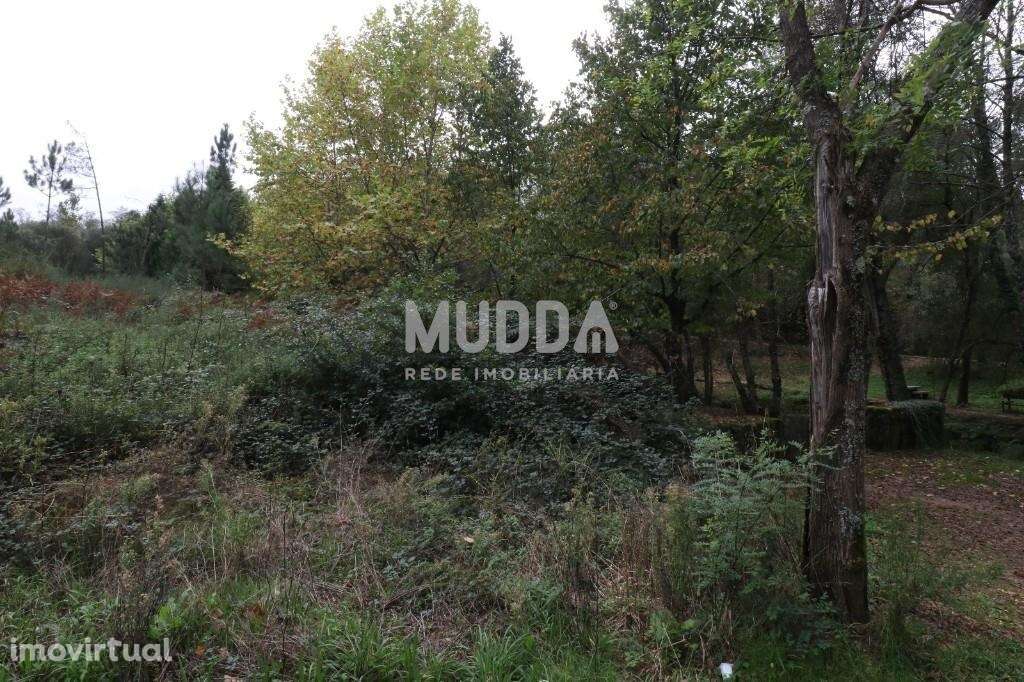 Venda Terreno - Grande imagem: 4/5