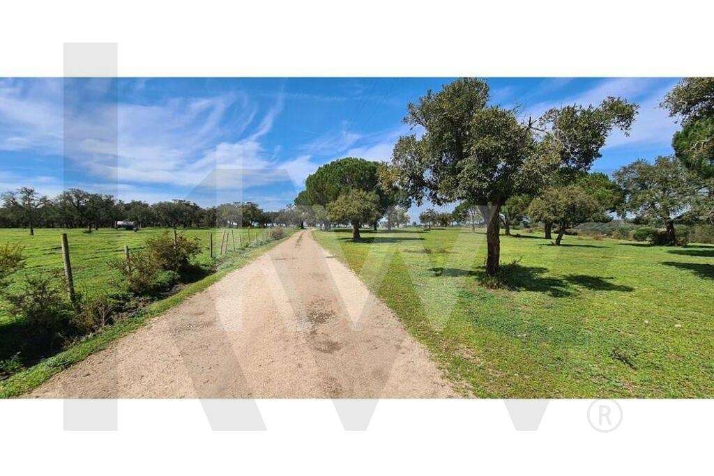 HERDADE COM 190 HA EM BENAVENTE, DISTRITO DE SANTARÉM - Grande imagem: 2/40