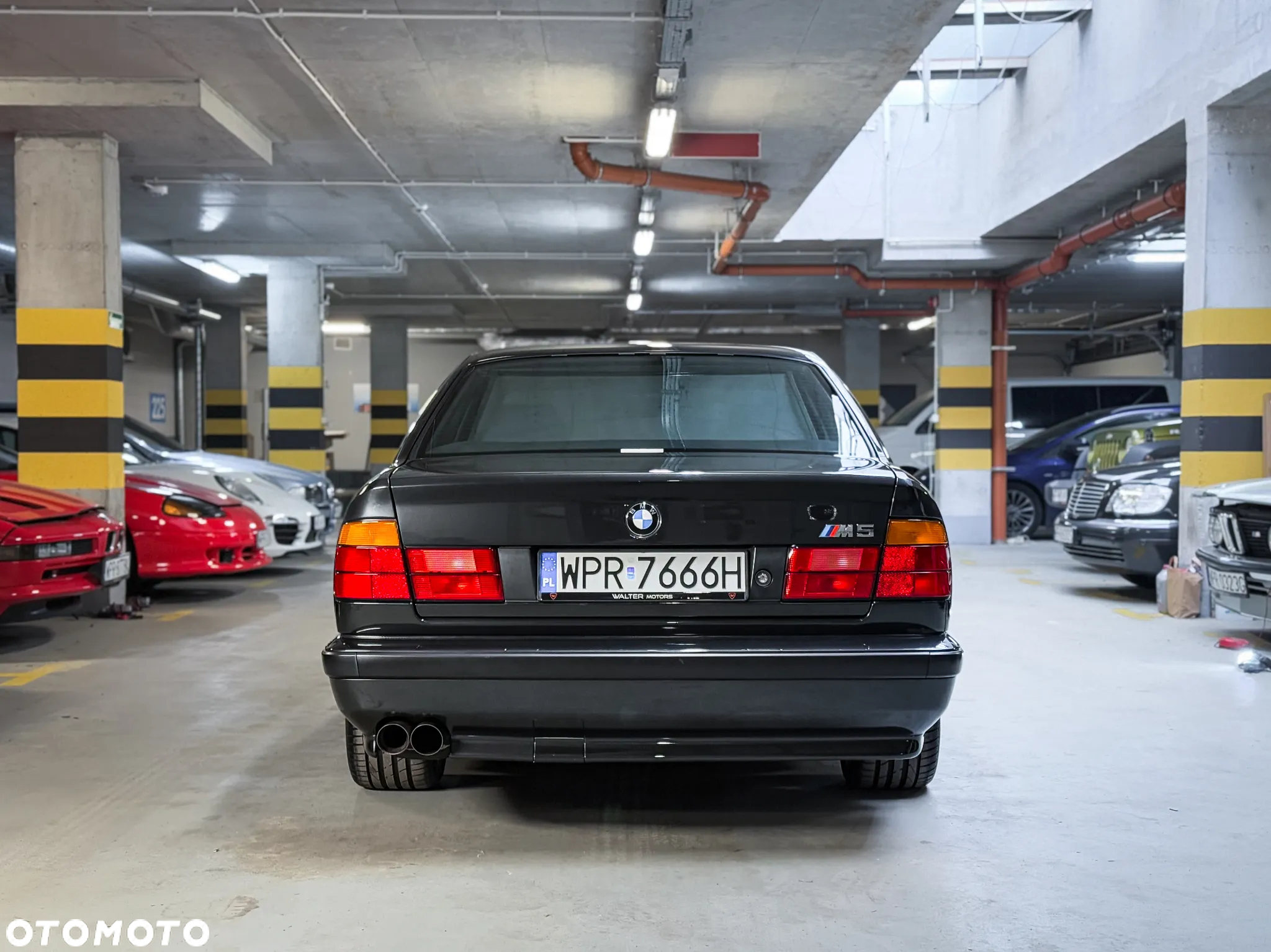 BMW M5 Standard - 8