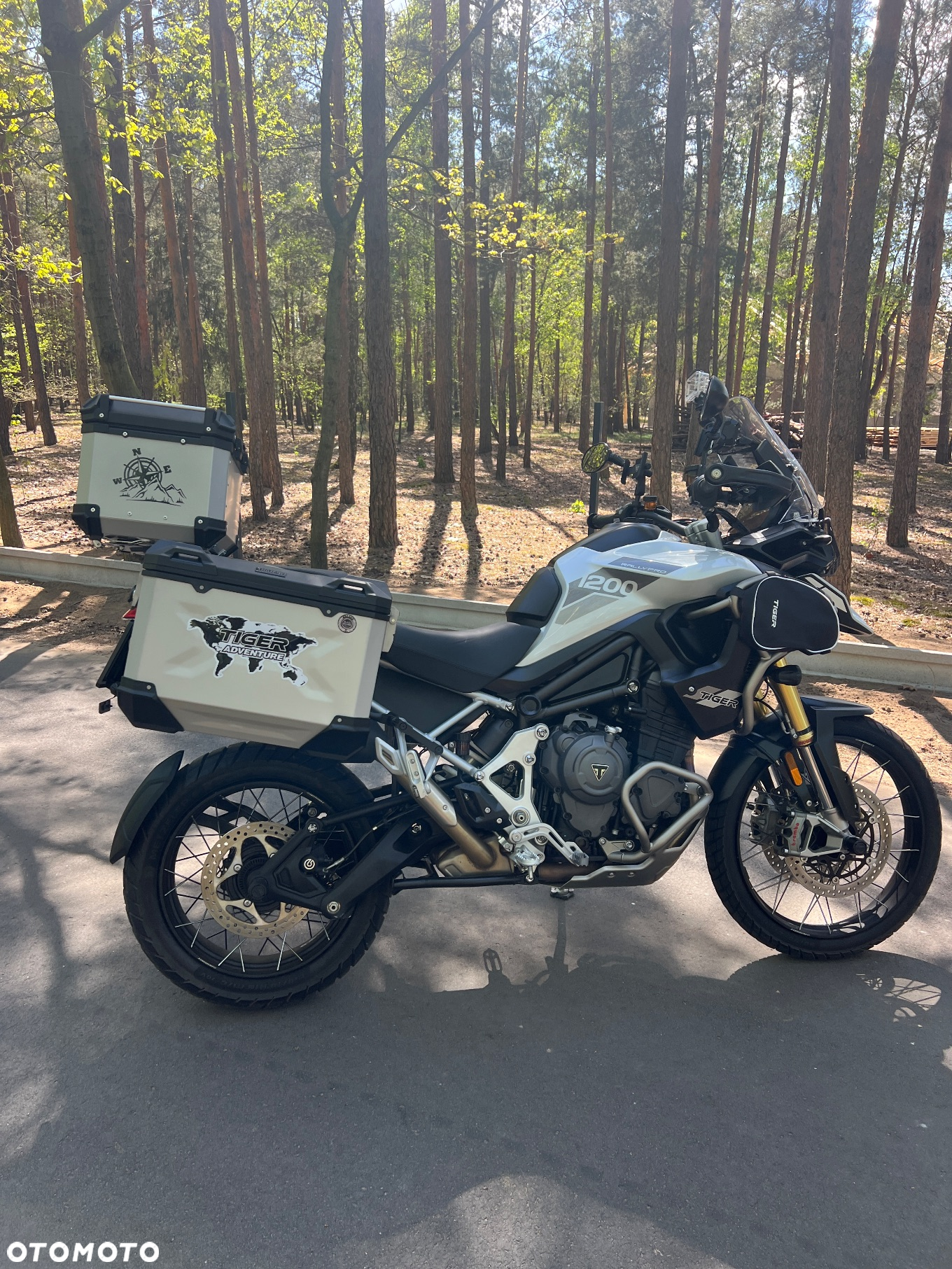 Triumph Tiger - 24