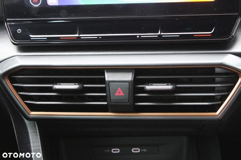 Cupra Formentor - 17