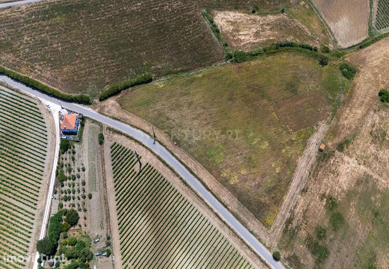 Lote de Terreno Rústico em Carnota – Oportunidade Única de Investiment - Grande imagem: 4/5