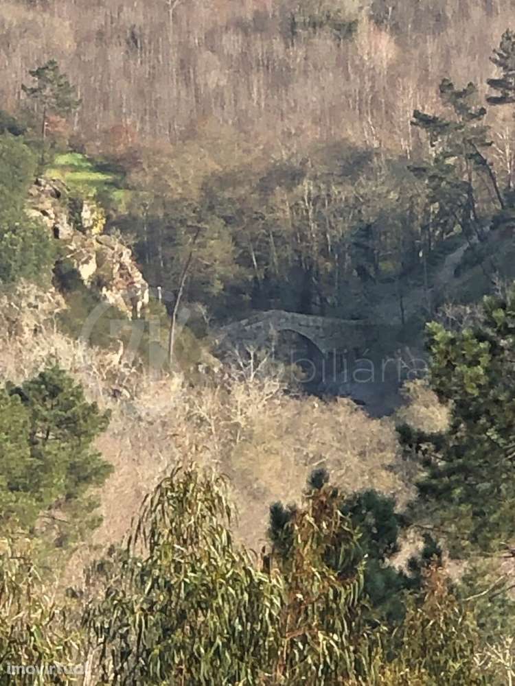 Terreno na Légua - Grande imagem: 2/13