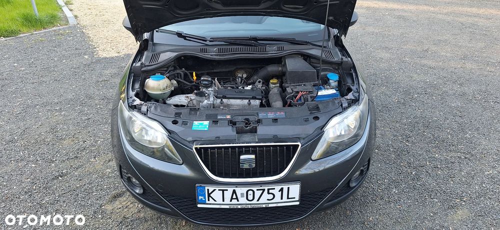 Seat Ibiza - 29