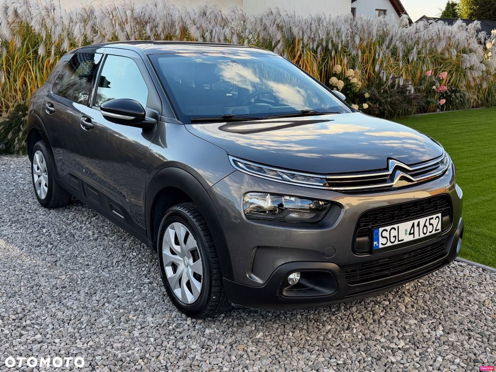Citroën C4 Cactus PureTech 110 Stop&Start Feel - 10