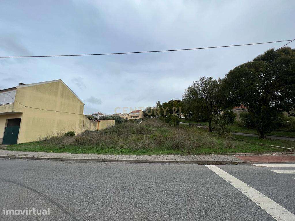 Terreno 1000 m2 -  GRANDE oportunidade de Investimento Casal Cambra - Grande imagem: 5/13