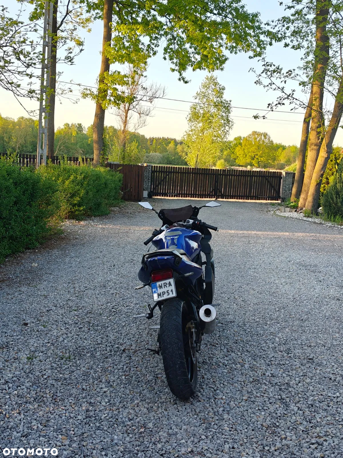 Yamaha TZR - 6