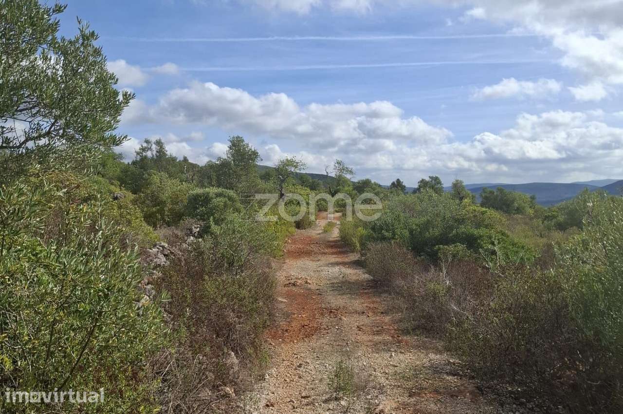 Terreno Rústico em Monte Brito com 18.390m2 - Grande imagem: 2/17