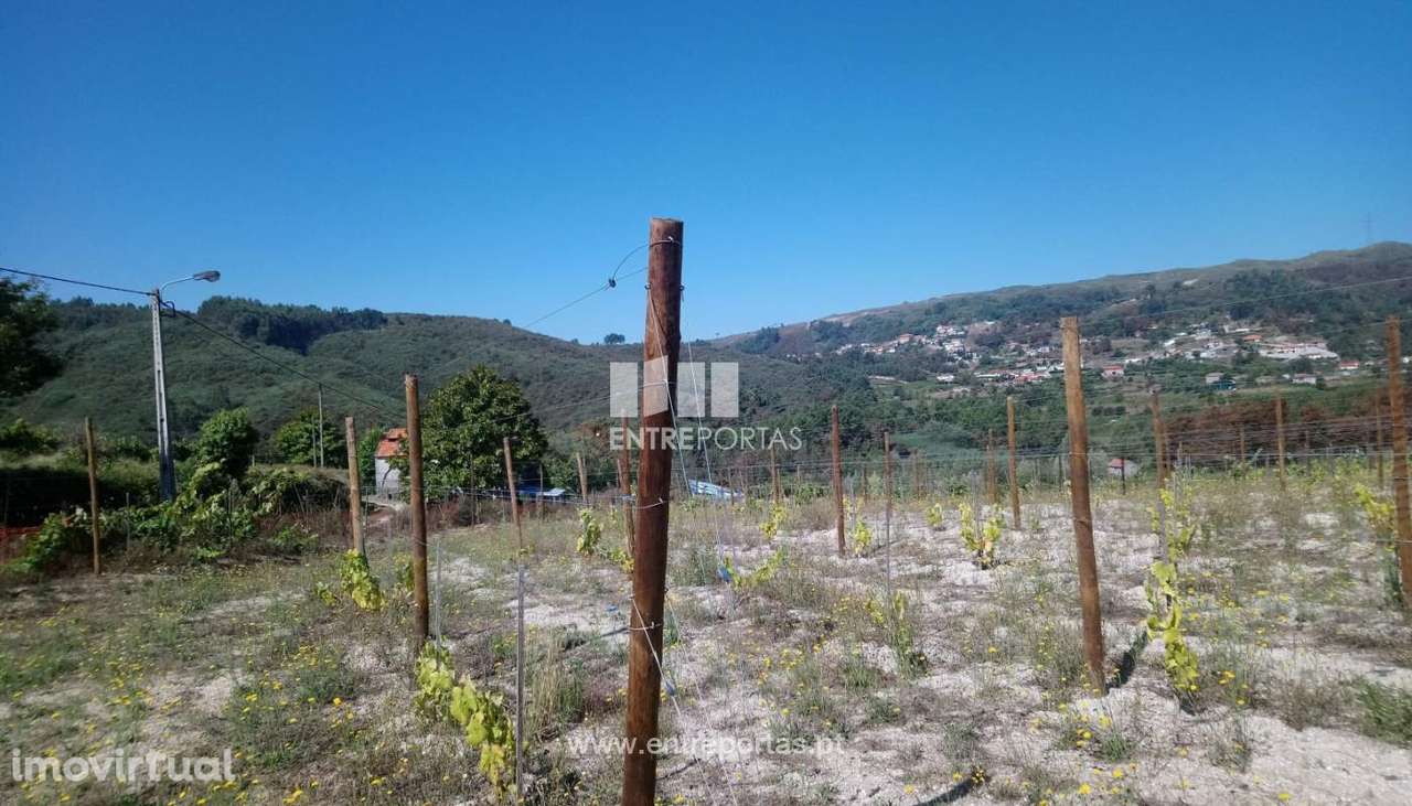 Venda Terreno, Gove, Baião - Grande imagem: 3/30