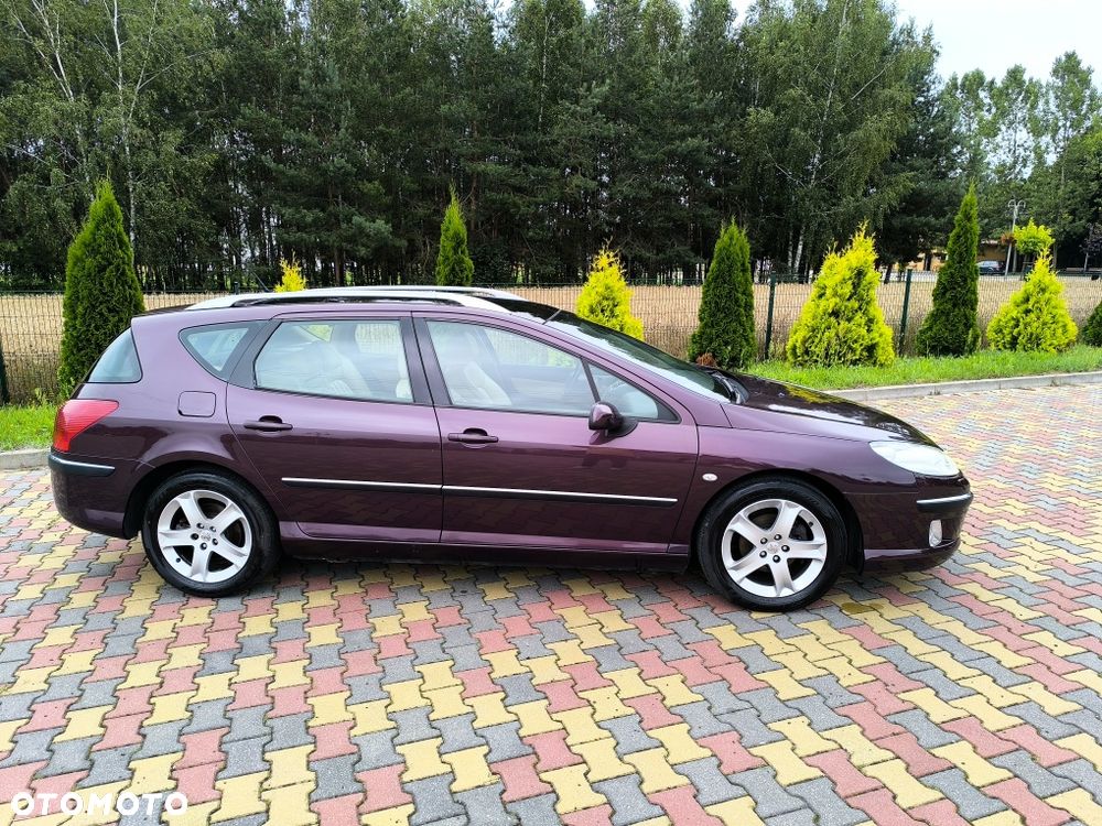 Peugeot 407 - 5