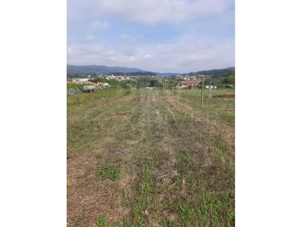 Terreno para Construção com 790 m2 em Santa Marta de Portuzelo - Grande imagem: 2/11
