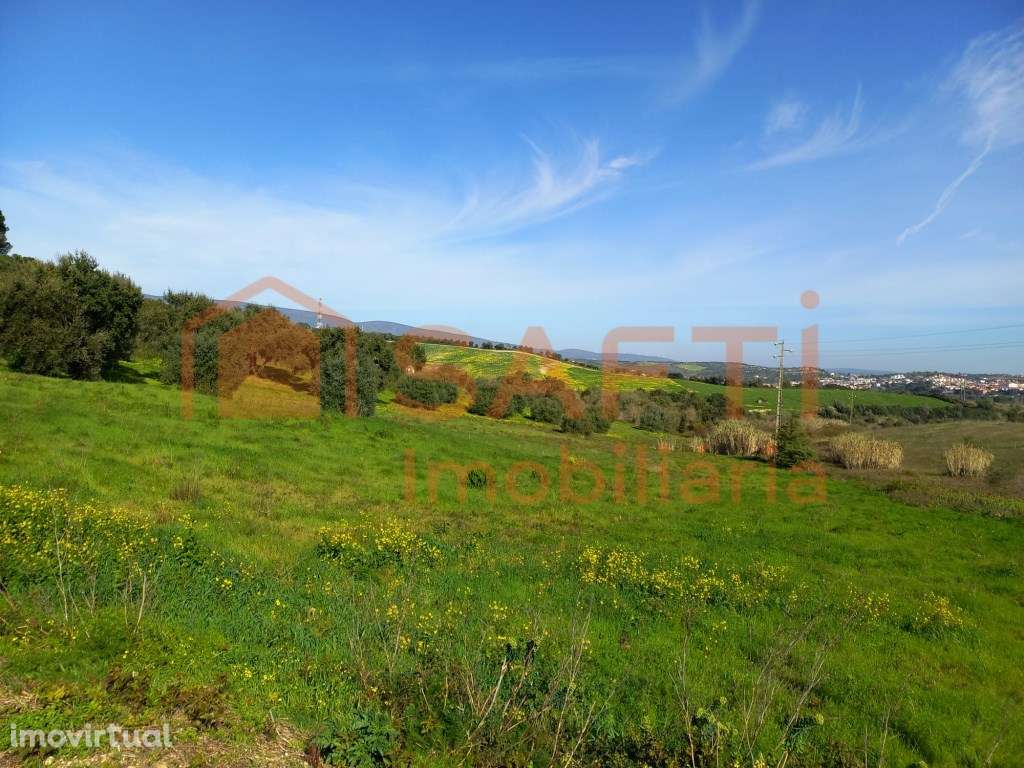 Vende-se Terreno Rústico em Torres Novas - Grande imagem: 4/4
