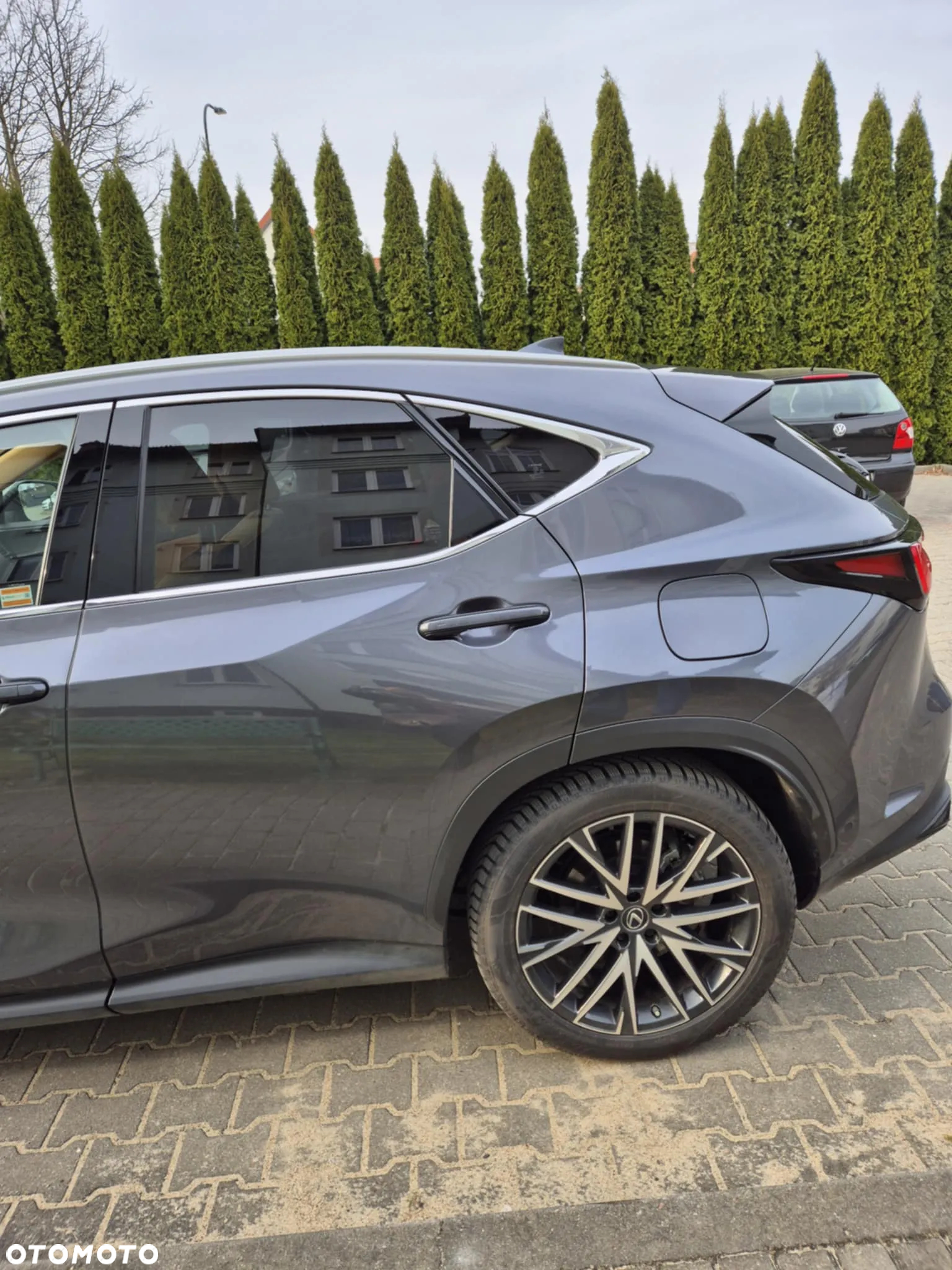 Lexus NX - 10