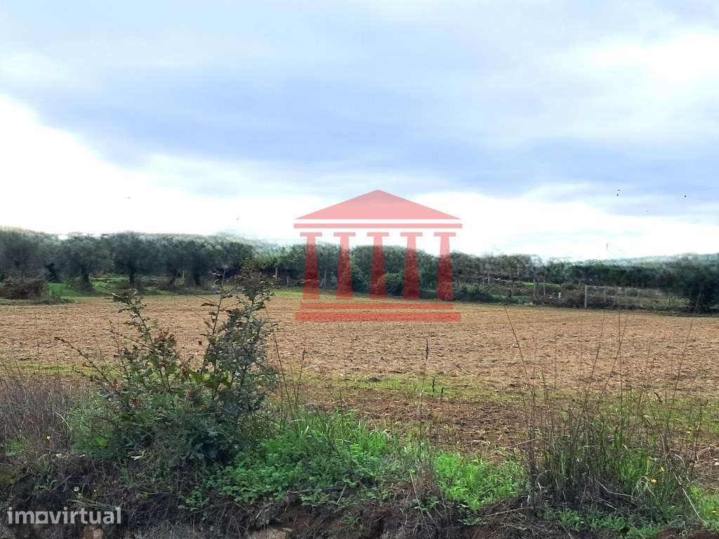 TERRENO PARA CONSTRUÇÃO PARA VENDA EM BARCELOS - Grande imagem: 2/7