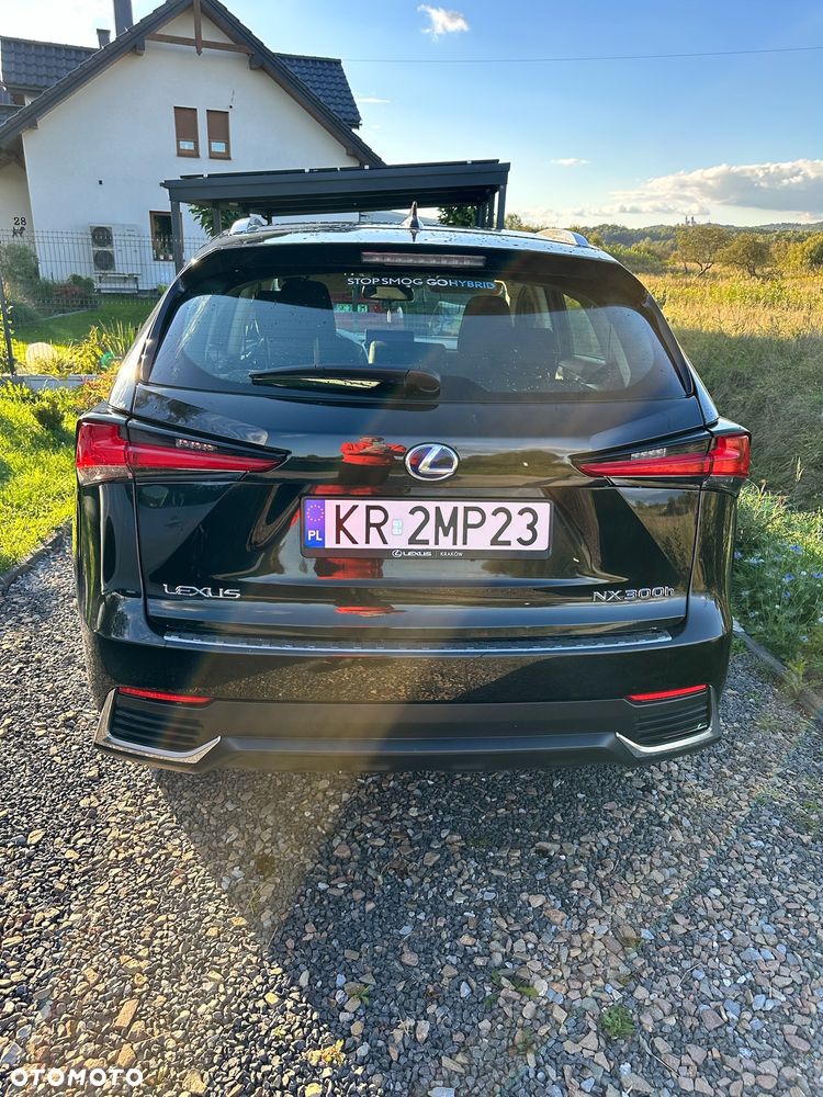 Lexus NX 300h Elegance Optimum AWD - 8