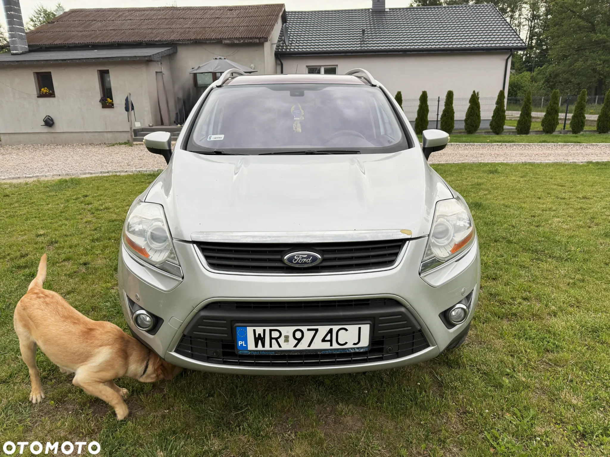 Ford Kuga 2.0 TDCi 4x4 Titanium - 2