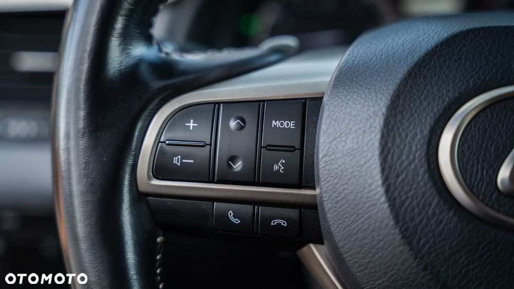 Lexus RX 300 Business Edition + - 20