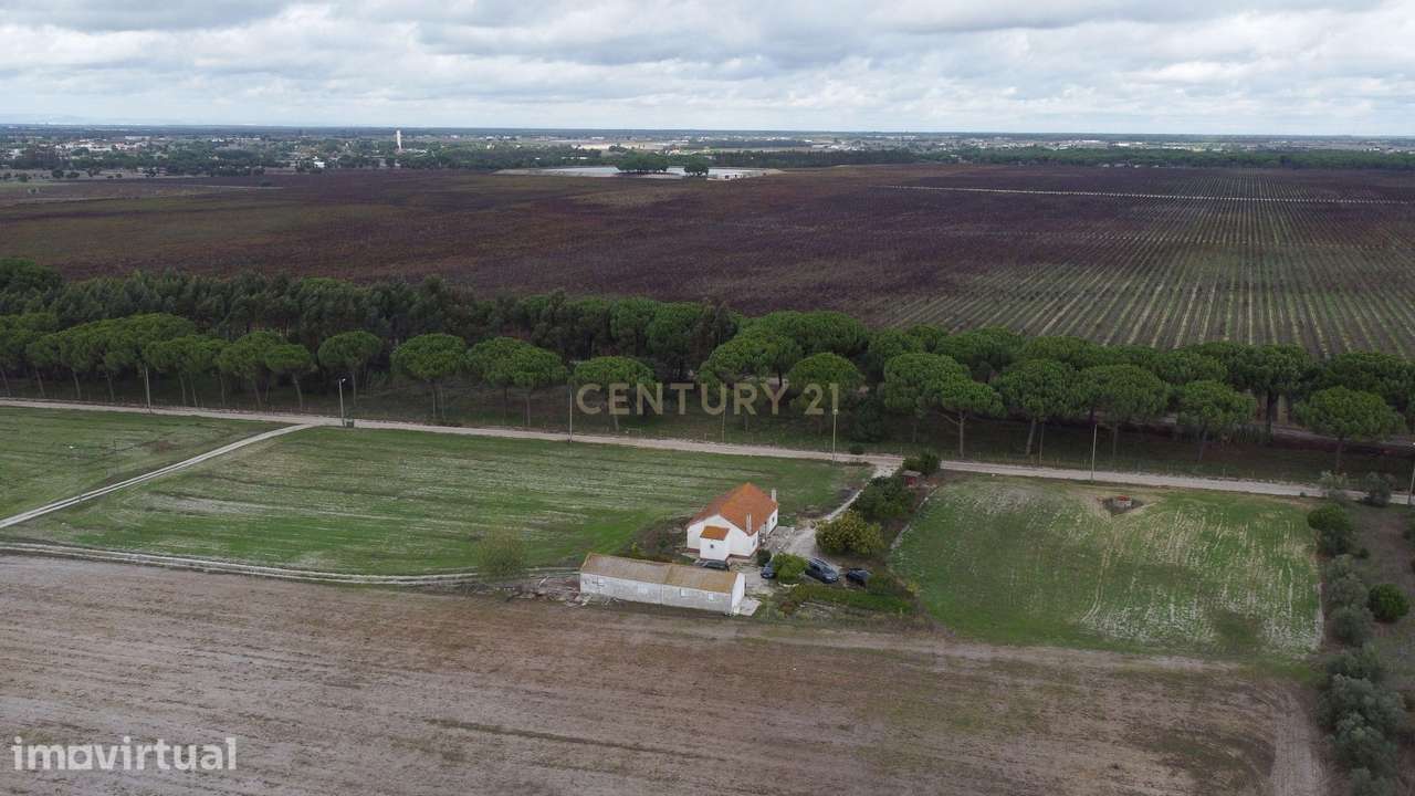 Casa com armazém e terreno de 2 ha - Grande imagem: 5/18